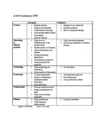 Kutatási anyagok 'Project B. Strategic Analysis of Plum AS', 18.                