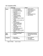 Kutatási anyagok 'Project B. Strategic Analysis of Plum AS', 26.                