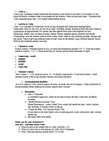 Prezentációk 'Cuba', 15.                