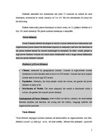 Összefoglalók, jegyzetek 'Communication Partners Versatility Cultural Communication', 2.                