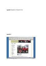 Kutatási anyagok 'E-commercial Activity Analysis on www.pykett-tractors.co.uk', 17.                