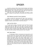 Kutatási anyagok 'Spider', 1.                