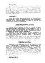 Kutatási anyagok 'Spider', 2.                