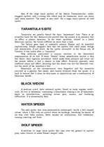 Kutatási anyagok 'Spider', 3.                