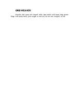 Kutatási anyagok 'Spider', 4.                