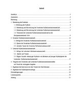 Kutatási anyagok 'Deutsche und Lettische Fuβballnationalmannschaften', 2.                