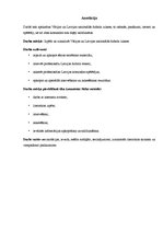 Kutatási anyagok 'Deutsche und Lettische Fuβballnationalmannschaften', 3.                