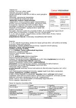 Összefoglalók, jegyzetek 'Caesar és Augustus összehasonlító elemzés', 2.                