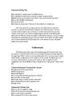 Prezentációk 'Human Body Types', 22.                