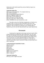 Prezentációk 'Human Body Types', 23.                