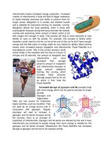 Prezentációk 'The Body’s Response to Chronic Exercise', 3.                