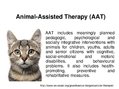 Prezentációk 'Animal-Assisted Therapy', 1.                