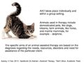 Prezentációk 'Animal-Assisted Therapy', 6.                