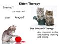 Prezentációk 'Animal-Assisted Therapy', 7.                