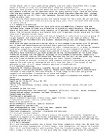 Esszék 'Marketing Plan for Halo Café', 5.