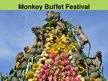 Prezentációk 'Monkey Buffet Festival', 3.                