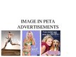 Kutatási anyagok 'Image in PETA Advertisements', 27.                