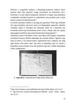 Záródolgozatok 'Humanitárius intervenciók a Közel-Keleten, különös tekintettel a Gázai övezetben', 21.                