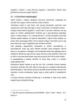 Záródolgozatok 'Humanitárius intervenciók a Közel-Keleten, különös tekintettel a Gázai övezetben', 34.                