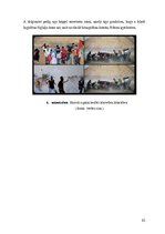 Záródolgozatok 'Humanitárius intervenciók a Közel-Keleten, különös tekintettel a Gázai övezetben', 65.                