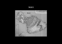 Prezentációk 'Flora of Hawaiian Islands', 7.                