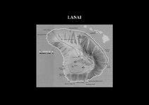 Prezentációk 'Flora of Hawaiian Islands', 12.                