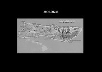 Prezentációk 'Flora of Hawaiian Islands', 17.                