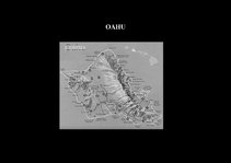 Prezentációk 'Flora of Hawaiian Islands', 27.                