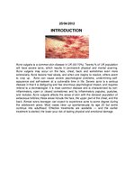 Összefoglalók, jegyzetek 'Acne Vulgaris', 2.                