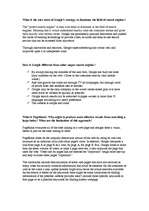 Összefoglalók, jegyzetek 'Google', 2.                