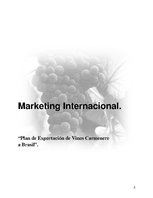 Kutatási anyagok 'Plan de Exportación de Vinos Carmenere a Brasil', 1.                