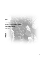 Kutatási anyagok 'Plan de Exportación de Vinos Carmenere a Brasil', 2.                