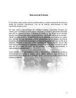 Kutatási anyagok 'Plan de Exportación de Vinos Carmenere a Brasil', 3.                