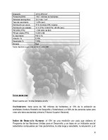 Kutatási anyagok 'Plan de Exportación de Vinos Carmenere a Brasil', 7.                