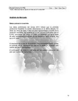 Kutatási anyagok 'Plan de Exportación de Vinos Carmenere a Brasil', 9.                