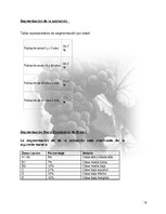 Kutatási anyagok 'Plan de Exportación de Vinos Carmenere a Brasil', 11.                