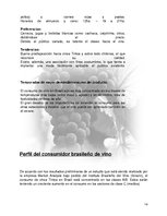 Kutatási anyagok 'Plan de Exportación de Vinos Carmenere a Brasil', 13.                
