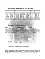 Kutatási anyagok 'Plan de Exportación de Vinos Carmenere a Brasil', 20.                