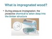 Prezentációk 'Impregnated Wood', 4.                