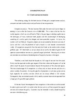 Üzleti tervek 'Business Plan "Hotel Roxana"', 16.                