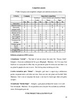 Üzleti tervek 'Business Plan "Hotel Roxana"', 20.                