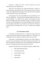 Üzleti tervek 'Business Plan "Hotel Roxana"', 23.                