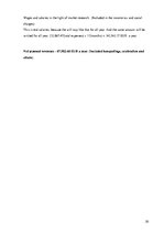 Üzleti tervek 'Business Plan "Hotel Roxana"', 30.                