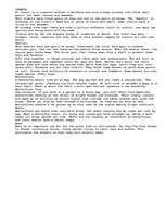 Esszék 'Insects', 1.                