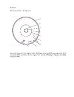 Minták 'The Exercises', 2.                