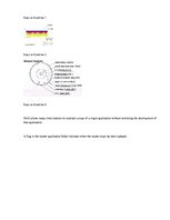 Minták 'The Exercises', 7.                