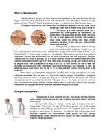 Kutatási anyagok 'Osteoporosis', 4.                