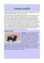 Kutatási anyagok 'Canada', 6.                