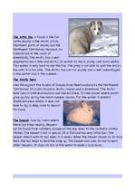 Kutatási anyagok 'Canada', 7.                