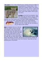 Kutatási anyagok 'Canada', 9.                